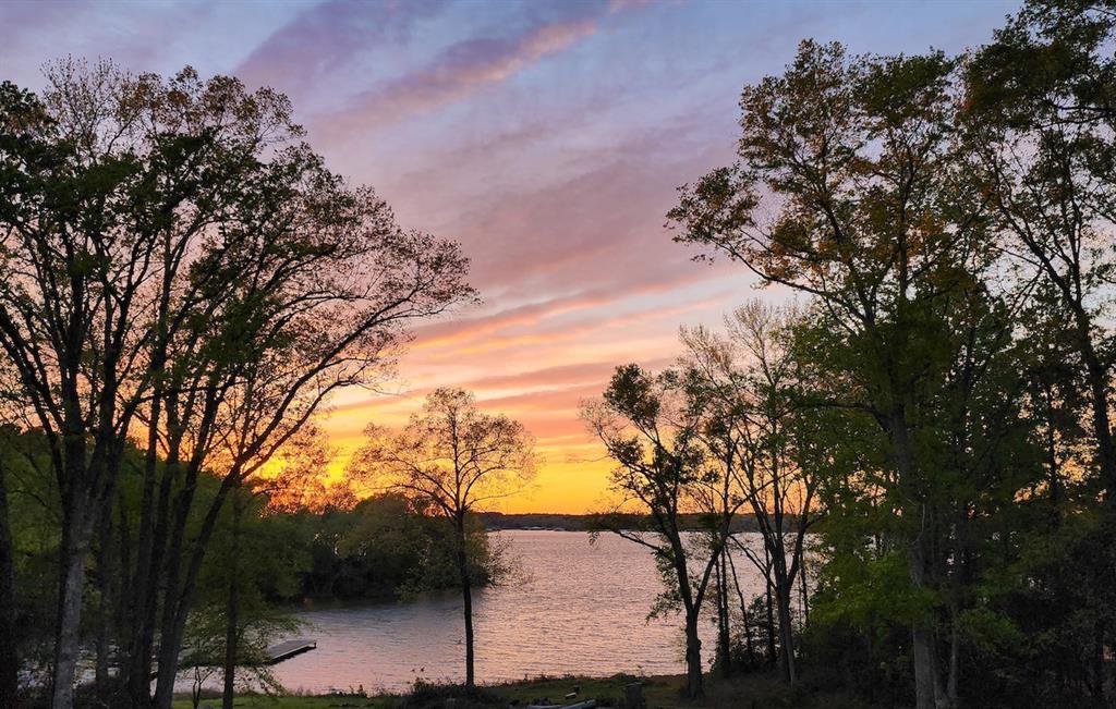 Photo 1 of 39 — 17930 Eastside Road, Troup, TX 75789