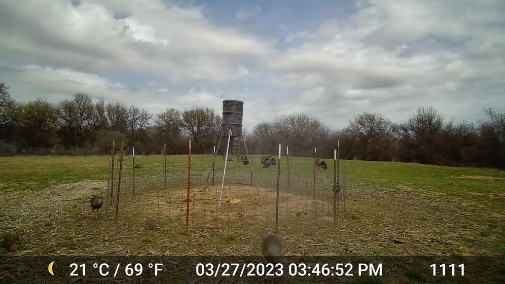 11653 FM 1226 Parcel B