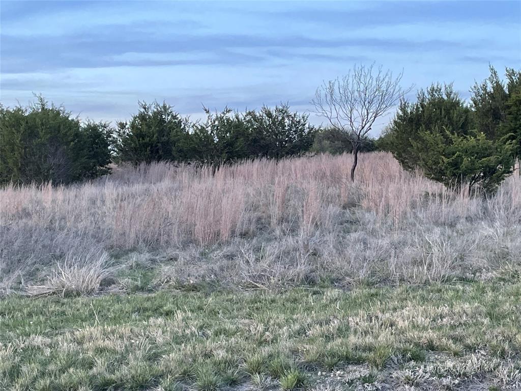 The Ranches at Star Hollow - Land