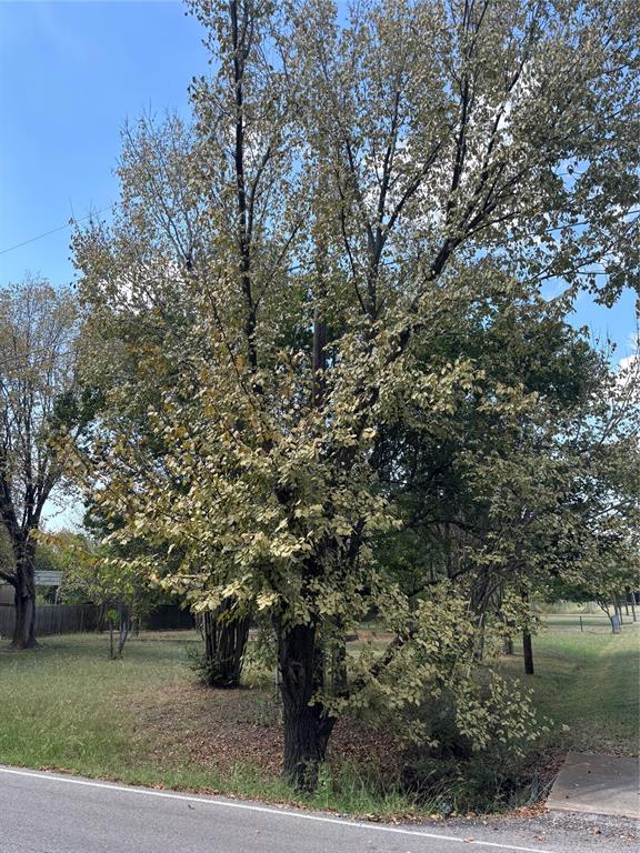 HERMAN HEIDER ABST 541 PG 450 - Land