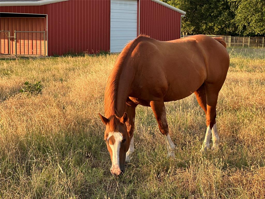 Valley View, Texas 76272, United States, 4 Bedrooms Bedrooms, ,4 BathroomsBathrooms,Residential,Active,134098