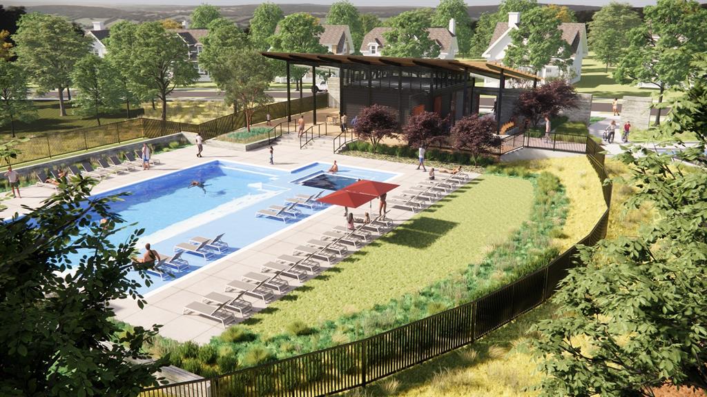 Painted Tree - Residential