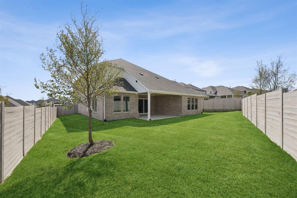 Painted Tree - Residential