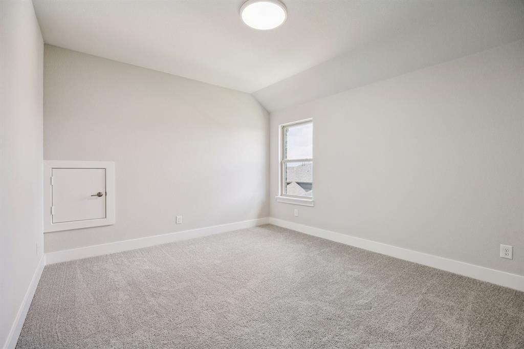 Painted Tree - Residential