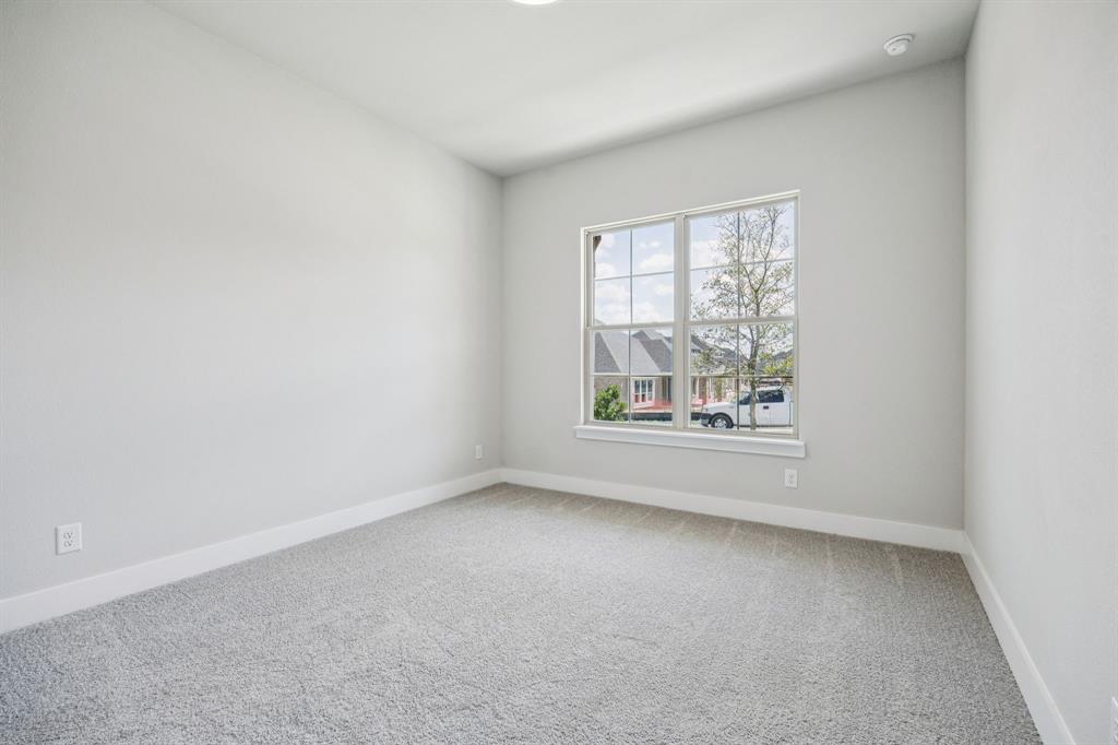 Painted Tree - Residential