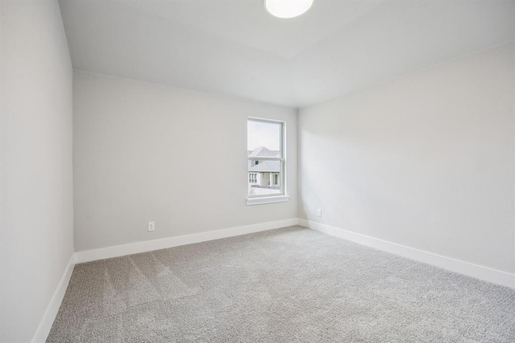 Painted Tree - Residential