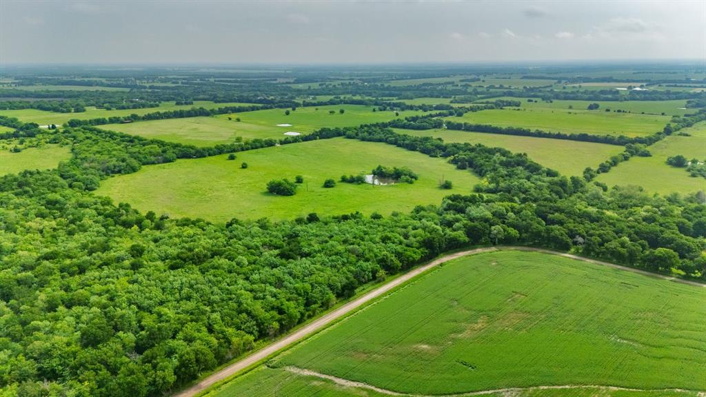 Thomas Hanks Surv Abst #408 - Land