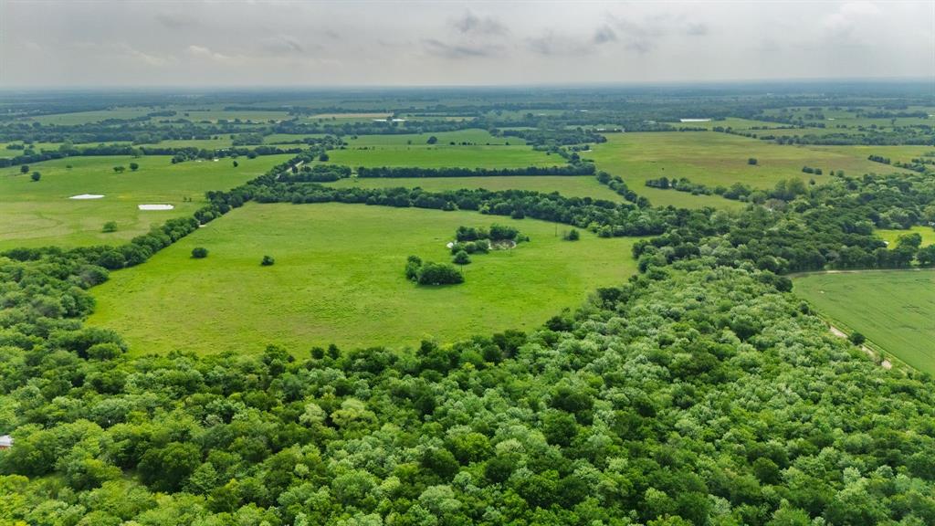 Thomas Hanks Surv Abst #408 - Land