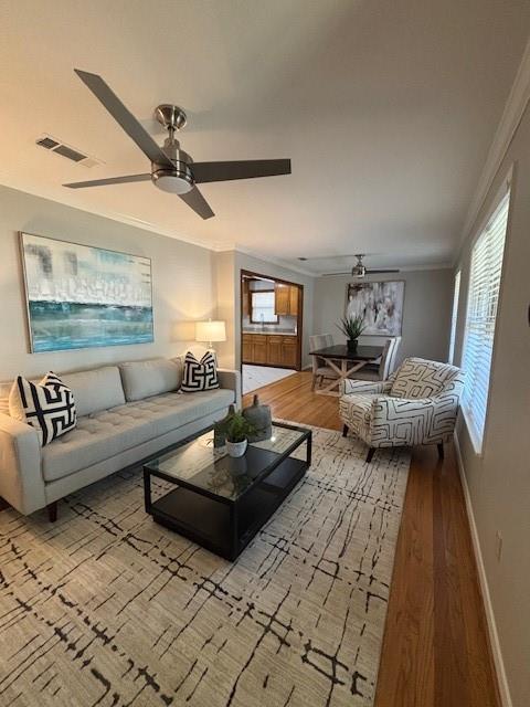 Hampton Plaza - Residential