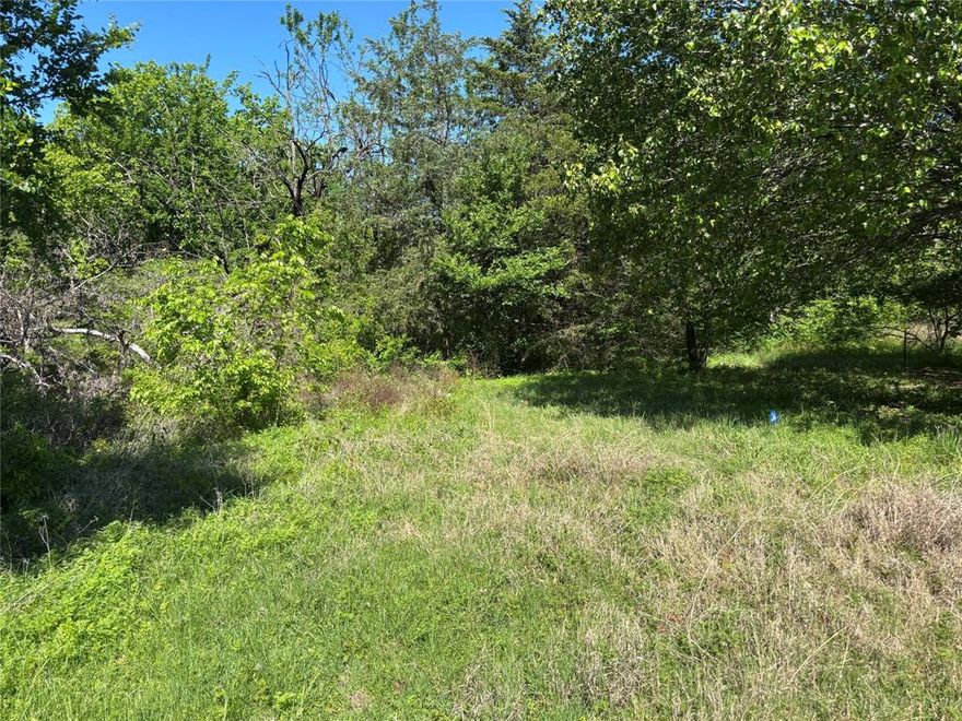 Come view this lot and take advantage of a great opportunity to own a .32-acre lot tucked away at the end of a cul-de-sac in the heart of Blue Ridge. This heavily treed property offers a rare combination of privacy and convenience, with a natural setting that feels secluded while still being right in town. The front of the lot features a gentle slope, creating potential for a unique build, while the back portion levels out—ideal for a homesite, backyard space, or outdoor living area. Located within city limits, you’re just a short walk to downtown Blue Ridge, including local restaurants and small-town amenities. Plus, enjoy the convenience of being just a one-minute drive to Blue Ridge Elementary School, Blue Ridge Middle School, and Blue Ridge High School. Situated in a well-established neighborhood with no HOA, this lot presents a great opportunity to build now and get ahead of the continued growth and expansion happening in the area. If you’ve been looking for an in-town lot with privacy, mature trees, and a prime location, this one is worth a look.
