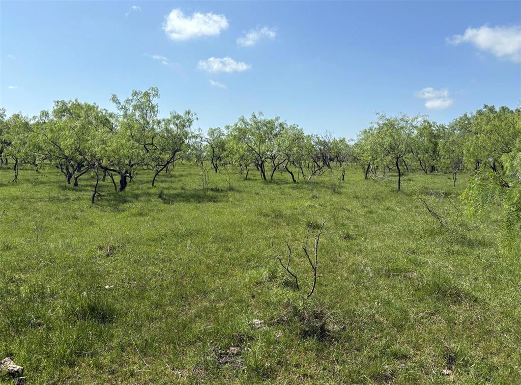 TBD 00 County Road 4160