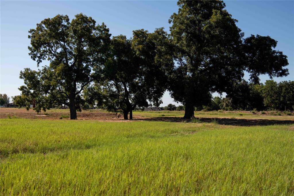 Mockingbird Meadow  Estates East - Land