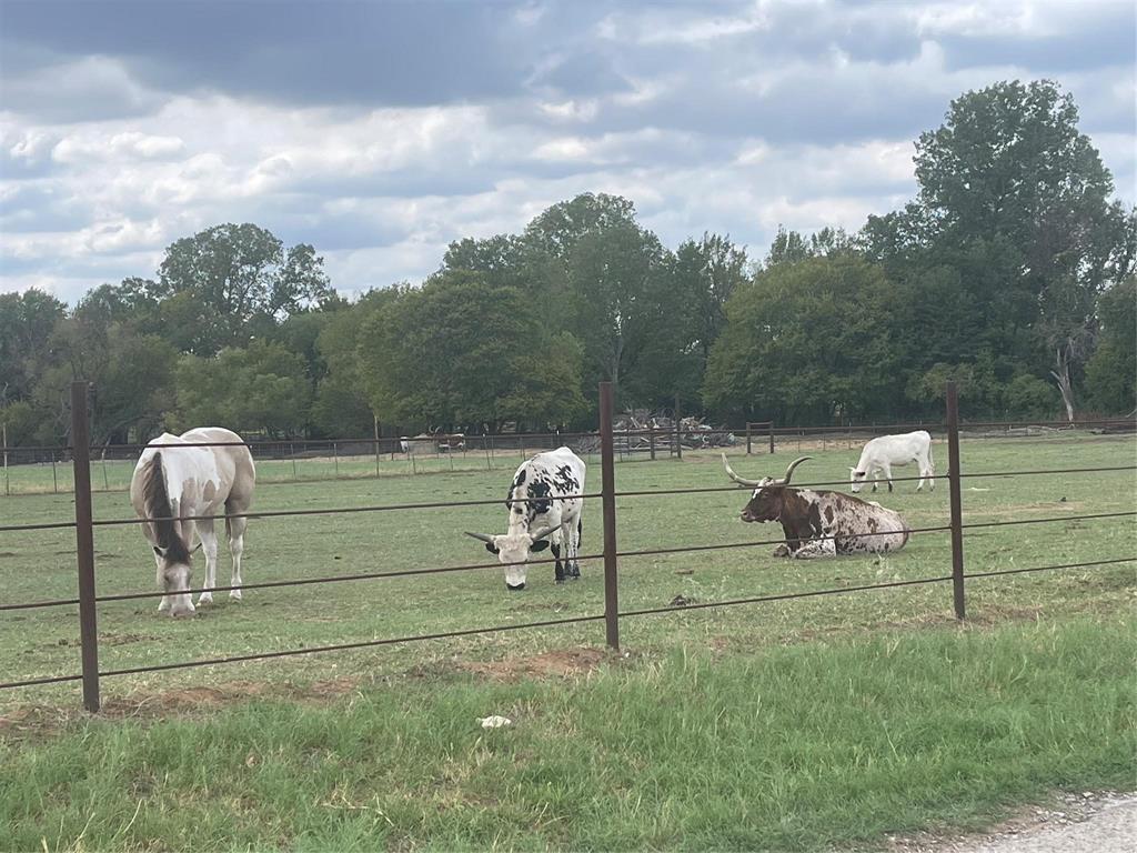 Mockingbird Meadow  Estates East - Land