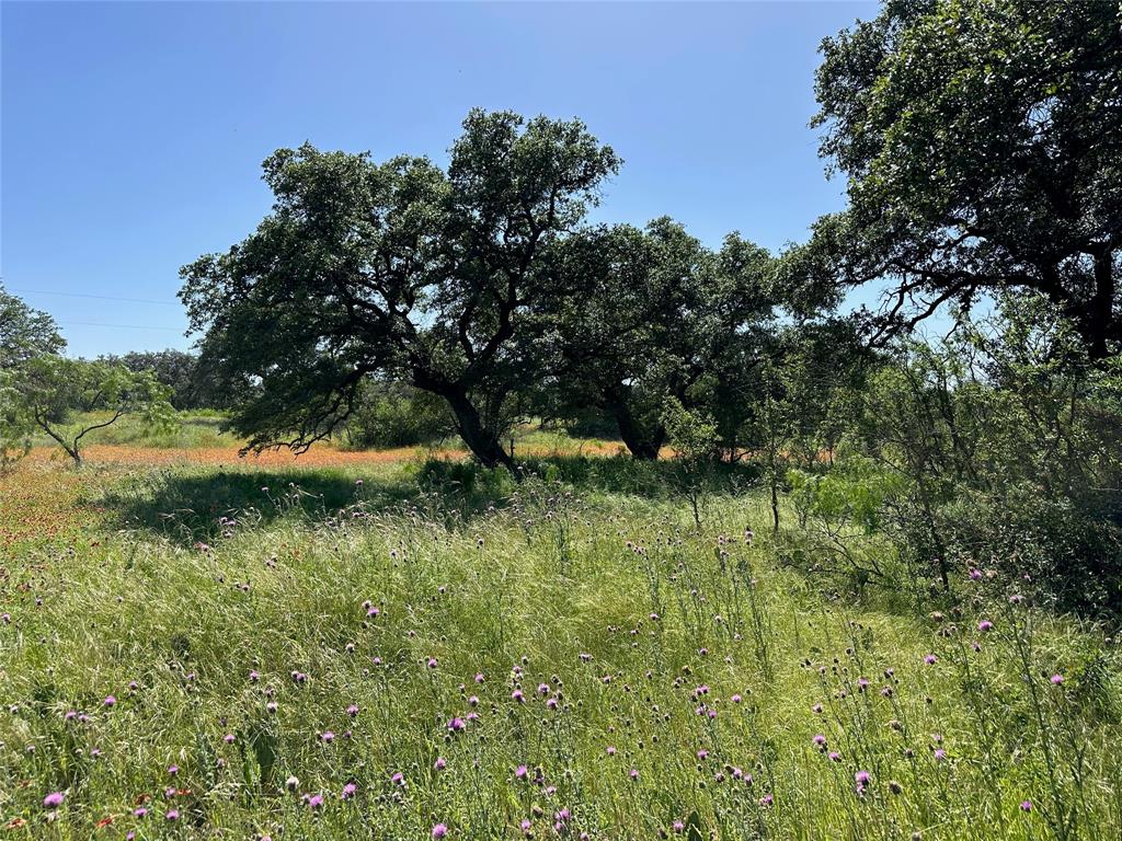 Kings Point Cove - Land