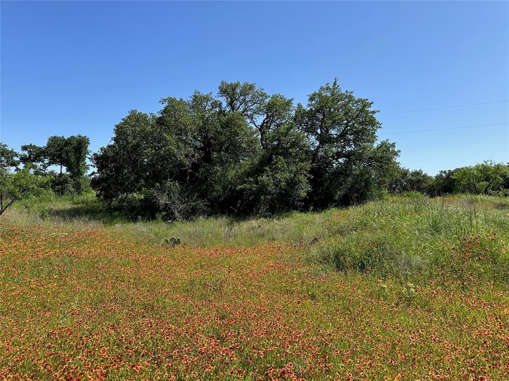 Kings Point Cove - Land