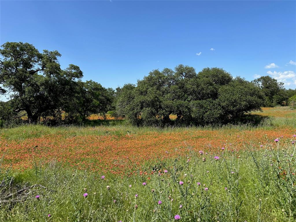 Kings Point Cove - Land