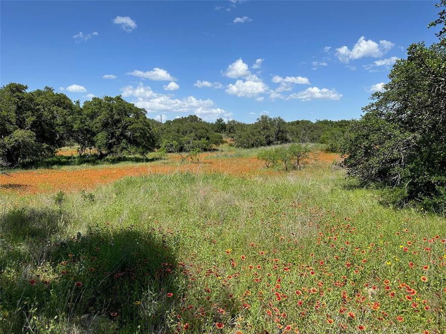 Lot 1079 in the Kings Point Cove Resort Community is a large size lot and is ready for you to build your dream home on. This is a prime real estate lot for sale that is close to Lake Brownwood in Central Texas. This interior lot is located close to the golf course. The property, with approximately 66 feet of road frontage, is fairly level, and located in the beautiful resort community of King’s Point Cove and the Hideout Golf Club. Utilities are available.  
Ownership of this property includes 4 free rounds of golf each month on the 18-hole Championship Hideout Golf Course, reduced rates for the RV Park, cabins, and ranch house. And unlimited access to multiple amenities including: two pools, hot tub, two playgrounds, sand volleyball court, driving range, putting green, fishing pond, resort lodge, restaurant, and more. Plus, a private community boat dock on Lake Brownwood is planned, giving you access to even more outdoor activities!