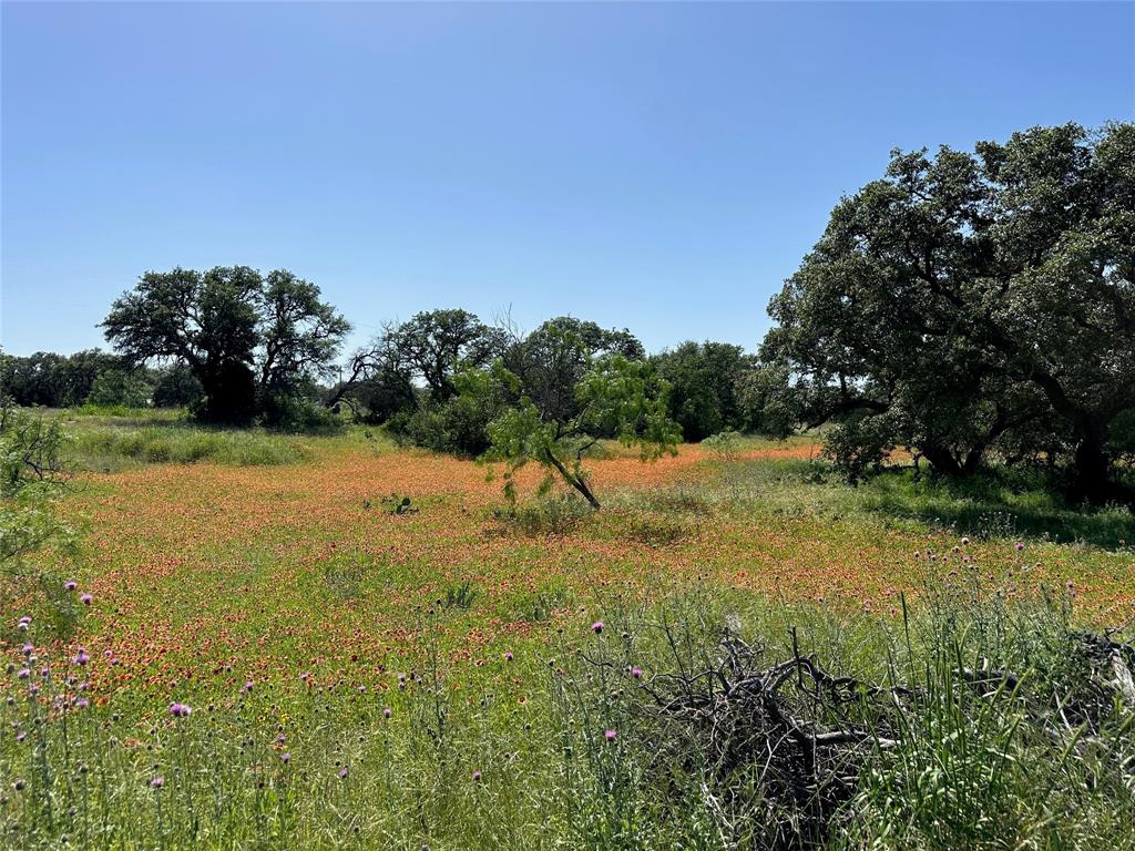 Kings Point Cove - Land