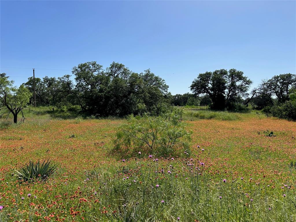 Kings Point Cove - Land