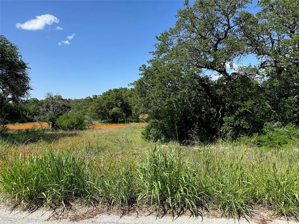 Kings Point Cove - Land