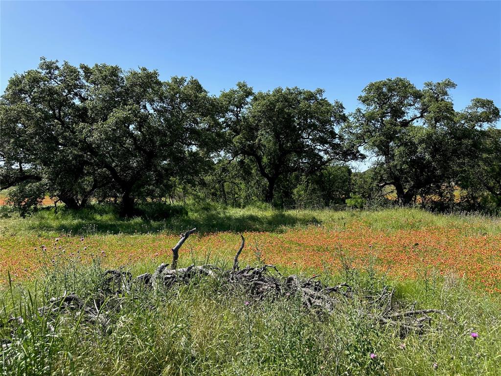 Kings Point Cove - Land