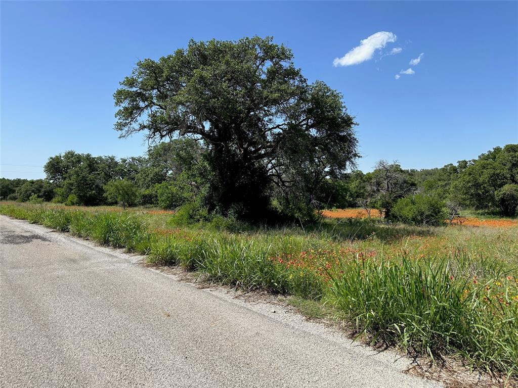 Kings Point Cove - Land