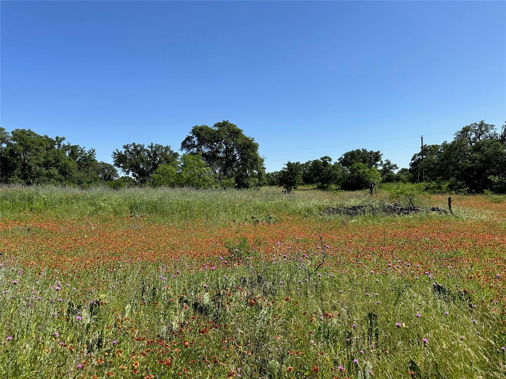 Kings Point Cove - Land