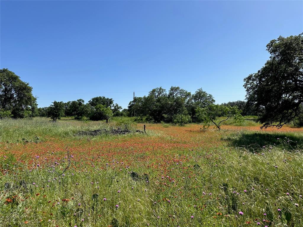 Kings Point Cove - Land