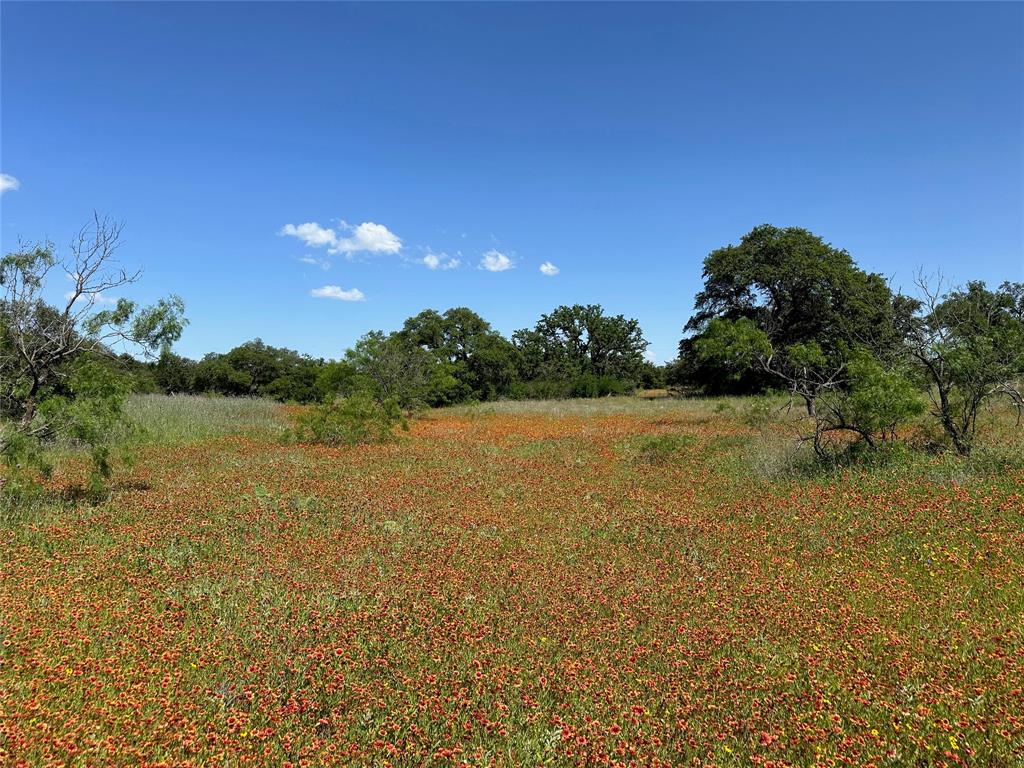 Kings Point Cove - Land