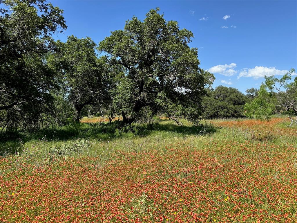Kings Point Cove - Land