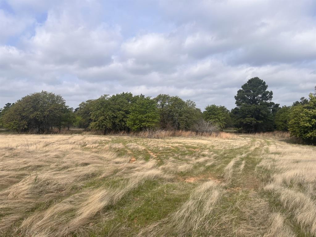 Block 84 of the Bell County School Land Survey - Land