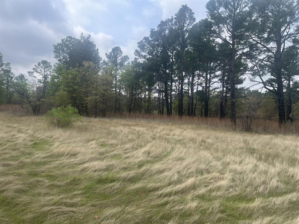 Block 84 of the Bell County School Land Survey - Land