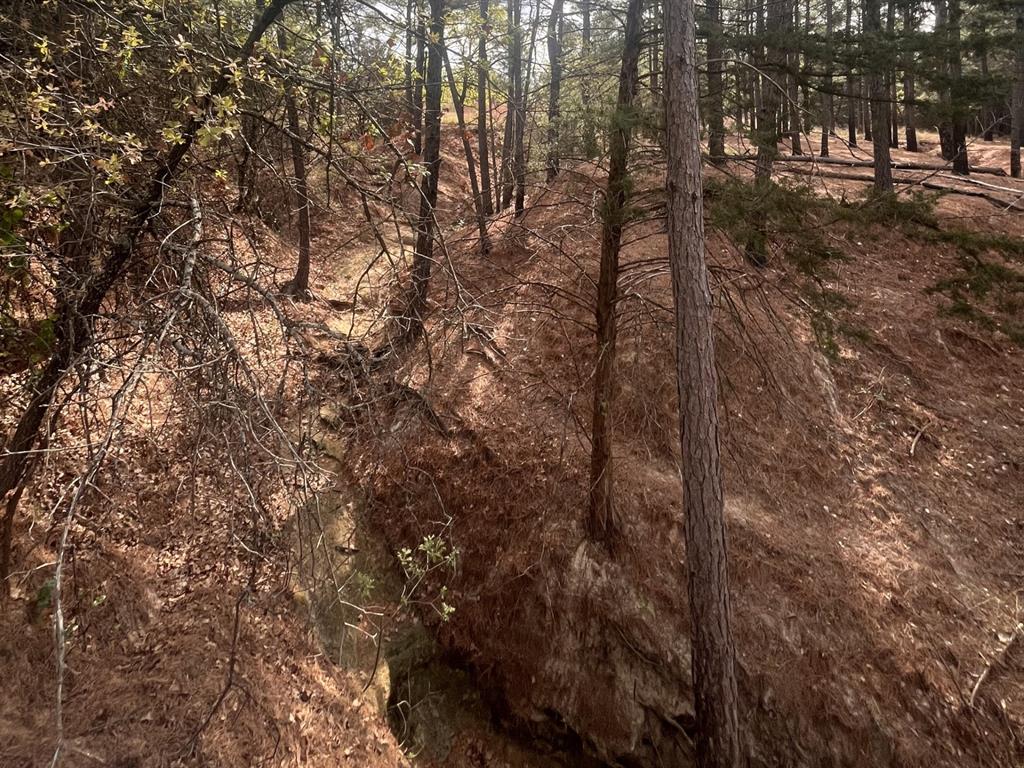 Block 84 of the Bell County School Land Survey - Land