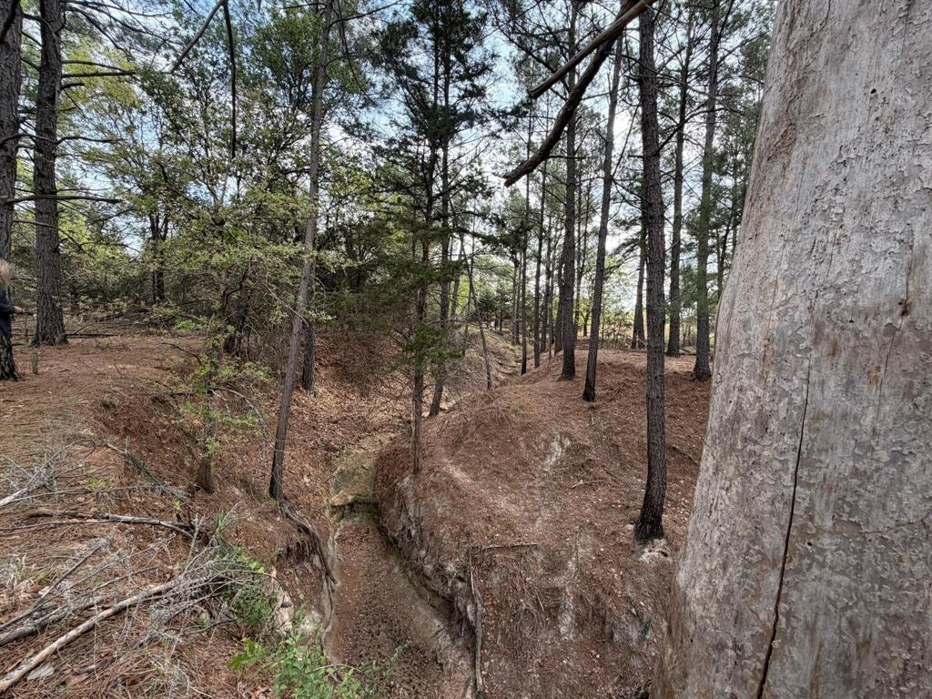 Block 84 of the Bell County School Land Survey - Land