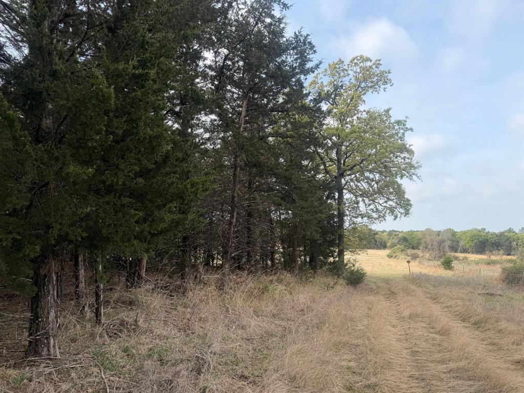 Block 84 of the Bell County School Land Survey - Land