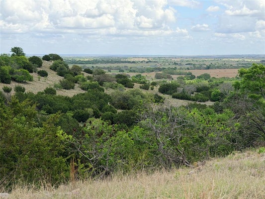 221 COUNTY RD 250, GOLDTHWAITE, TX 76844 - Image 2089e1ba473b7bdf49f4b9dbd5016849/887719399