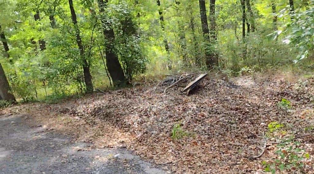 Point La Vista - Land