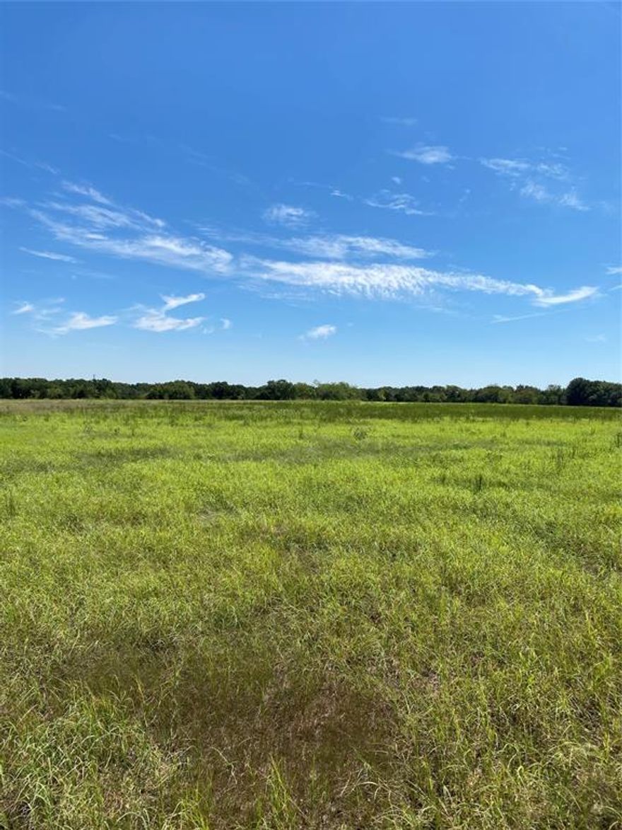 Beautiful landscape of open space with a line of towering trees at the back of the property to provide privacy and serenity. This huge 2 acre corner lot is the ideal homesite for someone who wants to put a little distance between themselves and neighboring properties, but not be beholden to a high maintenance property. Come breathe a little easier in the country side with this gorgeous property while maintaining close access to I-30 and a reasonable commute to DFW and other thriving surrounding towns like Greenville and Sulphur Springs!
