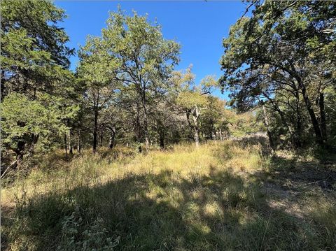 TBD 10 ACRES NW County Road 3055 Purdon TX 76679