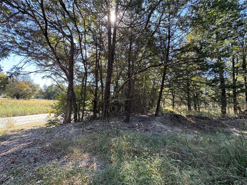 TBD 10 ACRES NW County Road 3055