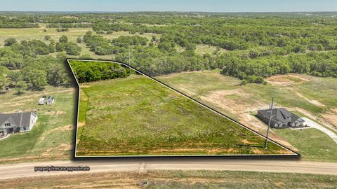 Lot 42 Leo Lane Poolville TX 76487