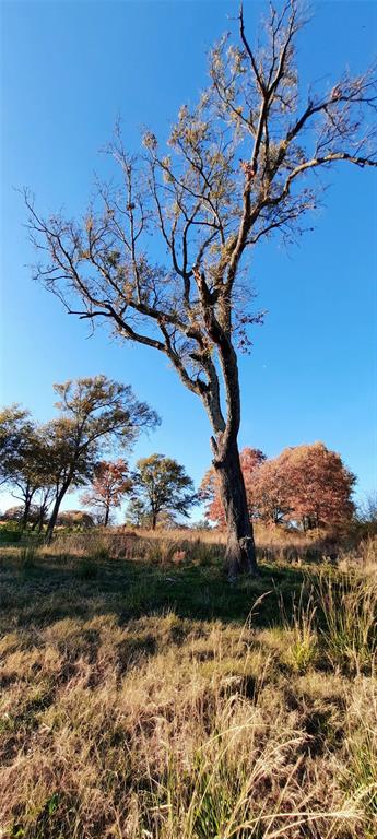 Serenity Point - Land