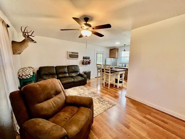 222 County Road 1180