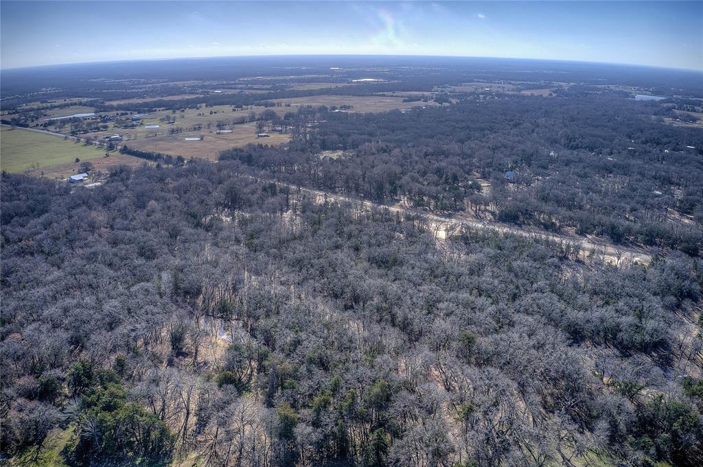 Charli Mo Ests - Land