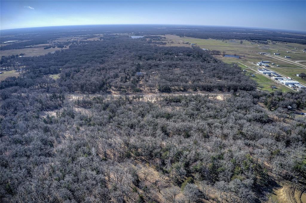 Charli Mo Ests - Land