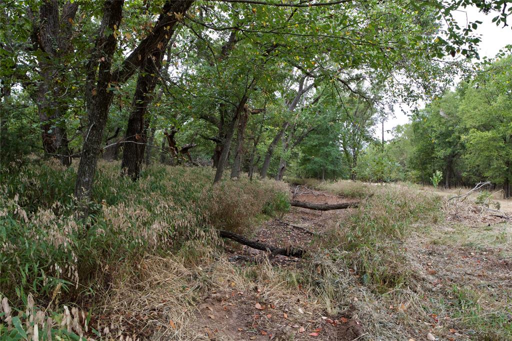 Steed Estates - Land