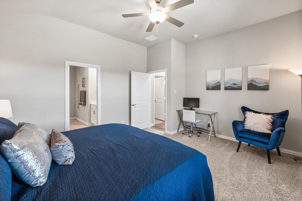 Palmilla Springs - Residential