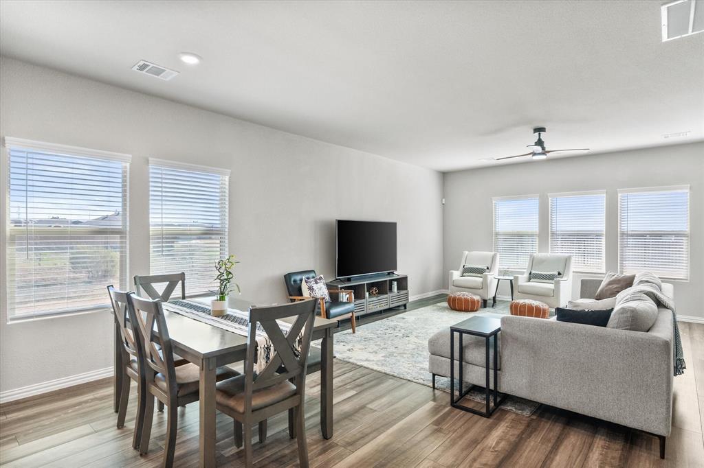 Palmilla Springs - Residential