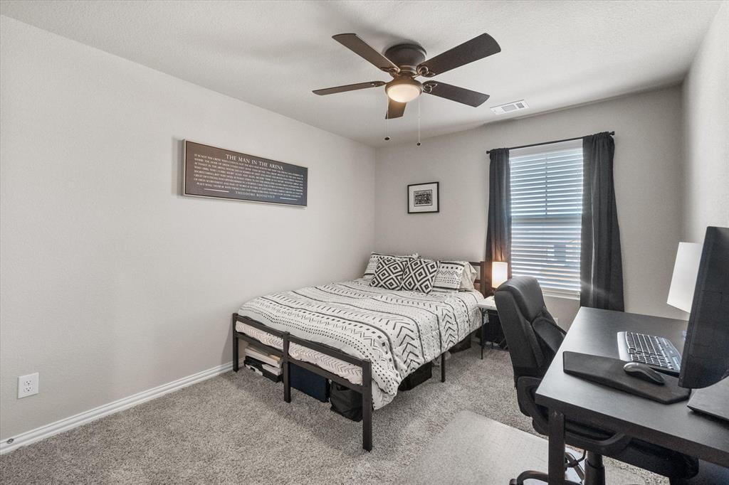 Palmilla Springs - Residential