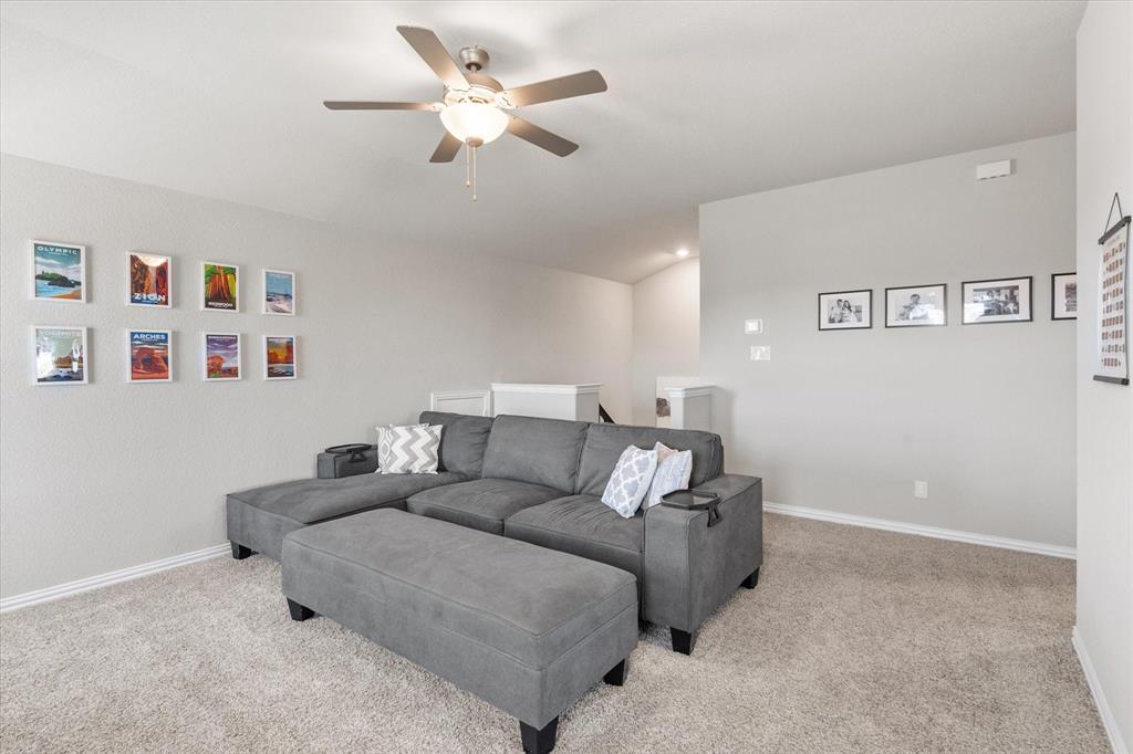 Palmilla Springs - Residential